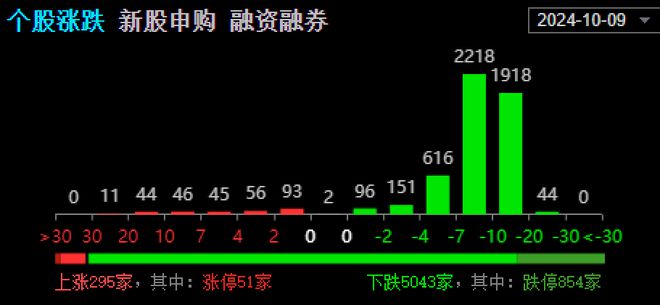 焦报 第247页