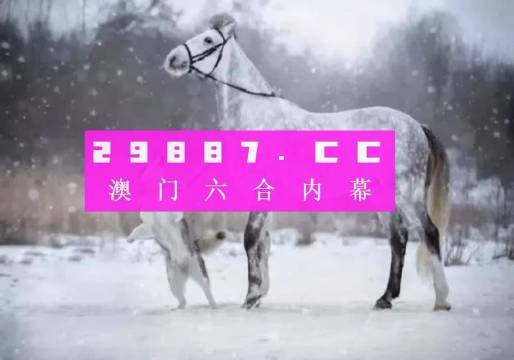 闻视 第235页