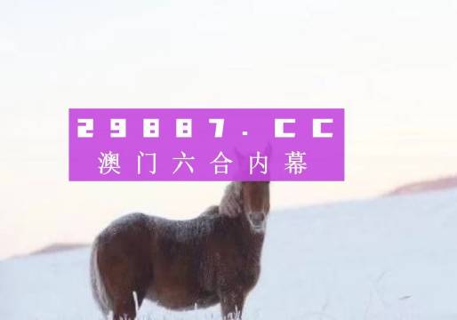 焦报 第231页