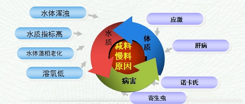 2024年马会生活幽默,全景解答解释落实_LE版17.278