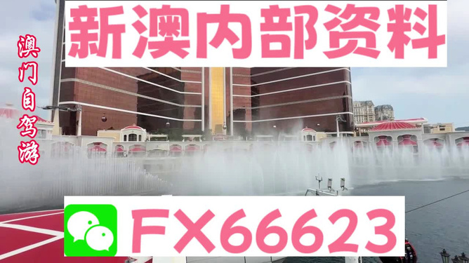 新澳内部资料精准一码波色表,动态词语解释落实_Android256.184