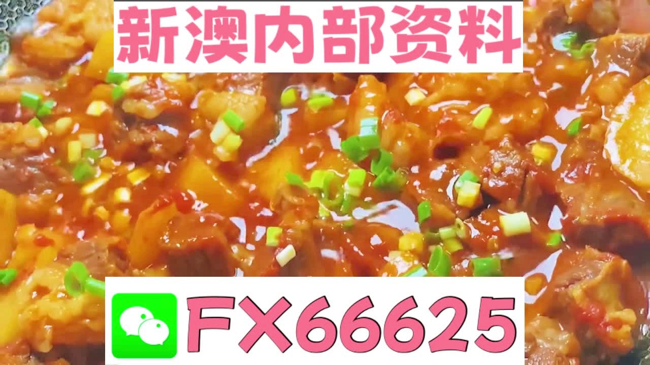 新奥门特免费资料大全管家婆料,准确资料解释落实_3DM36.40.79