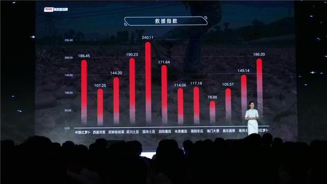 2024澳门最精准龙门客栈,诠释解析落实_游戏版256.184