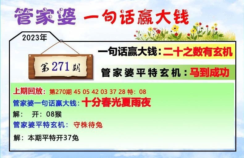 2024年11月12日 第38页